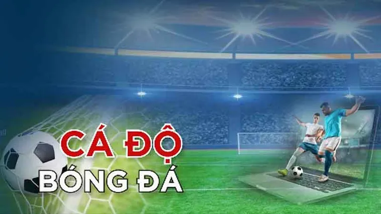 Bí Kíp Tìm Hiểu Cá Cược Bóng Đá DR88 Thắng Lớn Mỗi Ngày