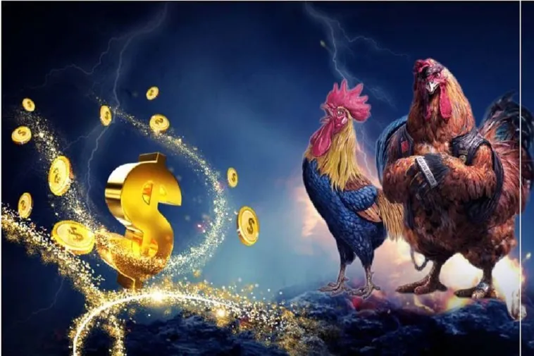 Đá Gà DR88 Uy Tín Đẳng Cấp Xứng Tầm Cá Cược Hàng Đầu Châu Á