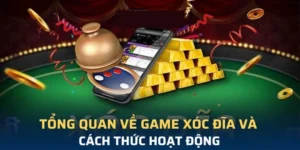 Tham Gia Xóc Đĩa DR88 Ngay Để Nhận Thưởng Khủng Mỗi Ngày Vui Vẻ